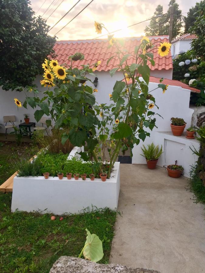 The Azores Homestead - Terceira Santa Barbara  エクステリア 写真